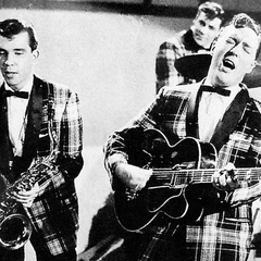 Bill Haley & His Comets