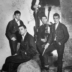 The Animals