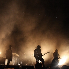 The Vaccines