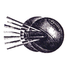 Washington Bullets