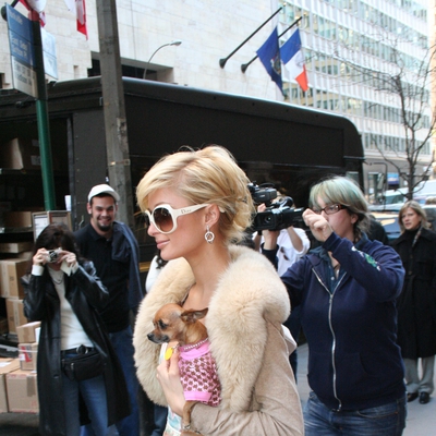 Paris Hilton Autograph Profile