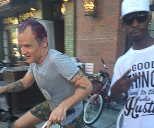 Flea