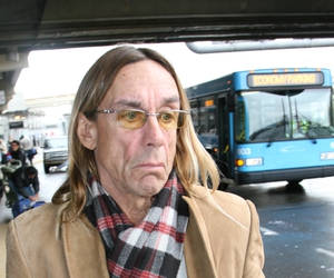 Iggy Pop